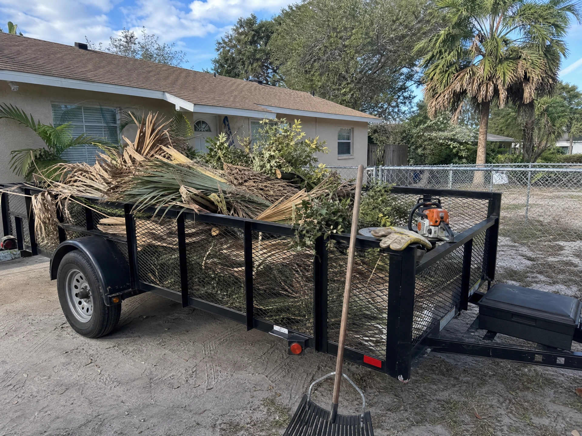 Blitz Tree Service trailer loaded with palm fronds at a New Port Richey job site