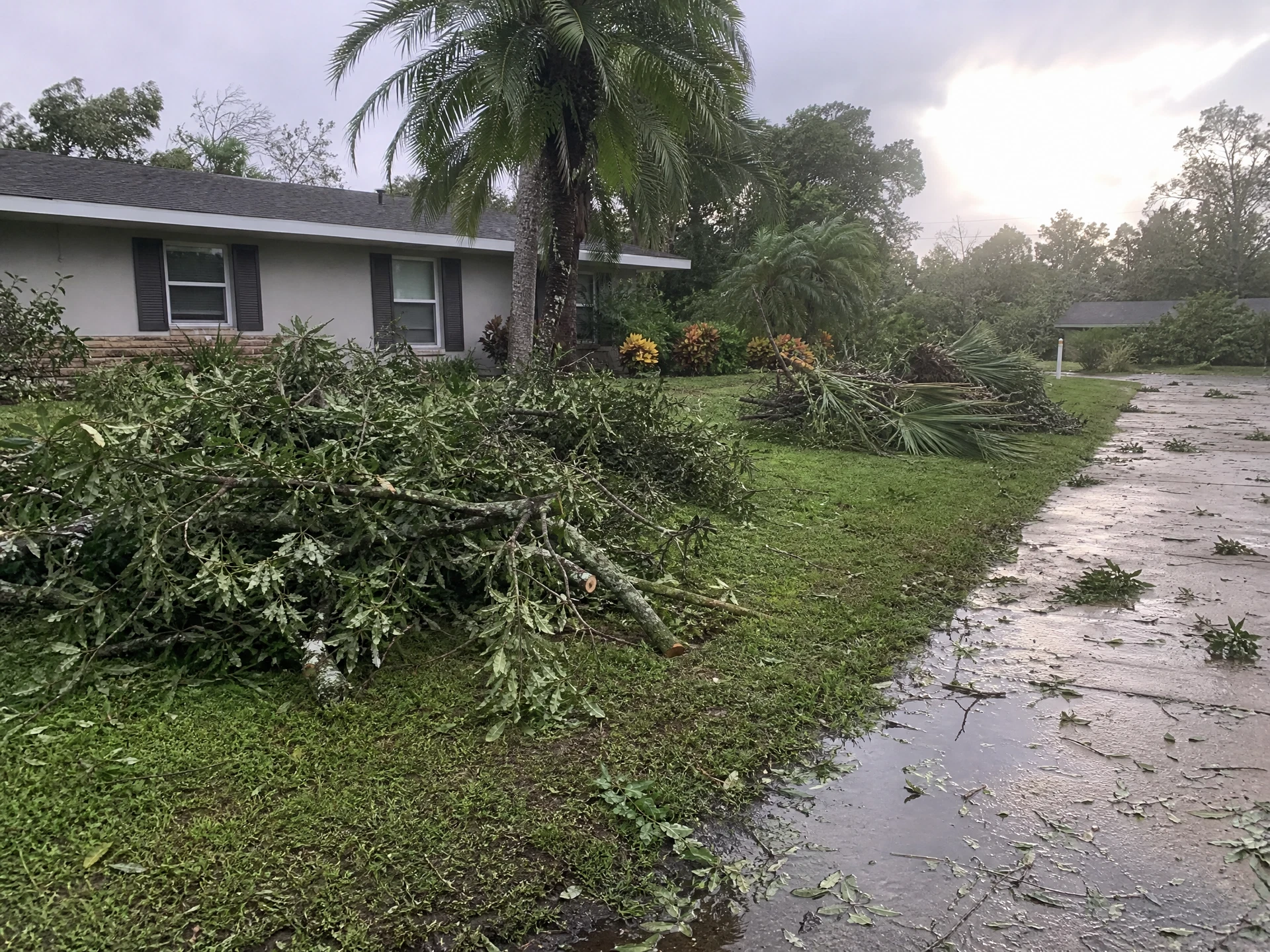 Palm fronds and small limbs gathered into a pile after a Florida storm